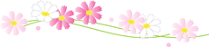 コスモスのイラスト1